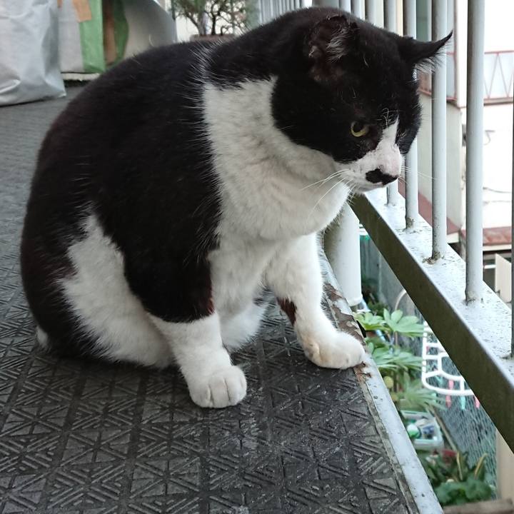 13ace1f3 f4ec 4df5 9106 35756cc1a286 1606514525527