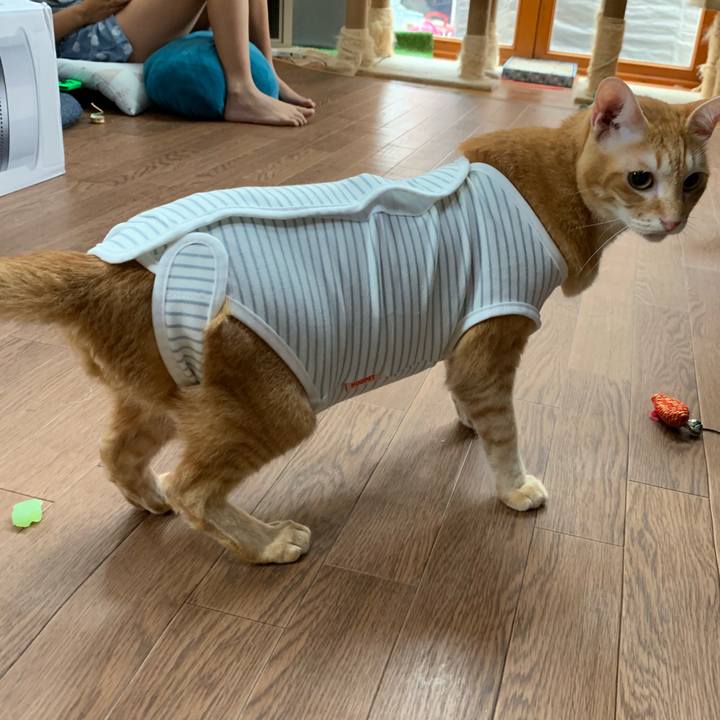 13aceb60 9f32 4a01 8b17 e99778eab72f 1569206265845