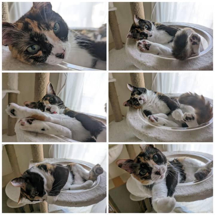 13acf1aa bf3a 4c9e bb3f 1275f4bd2607 1692591636656