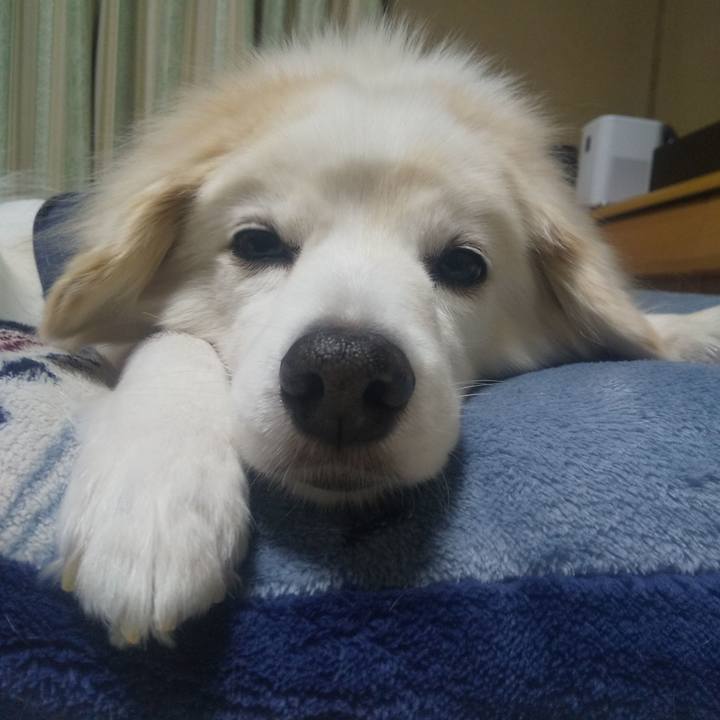 13acfd1e b46f 405e 80b2 45d3d6a53240 1640037203372