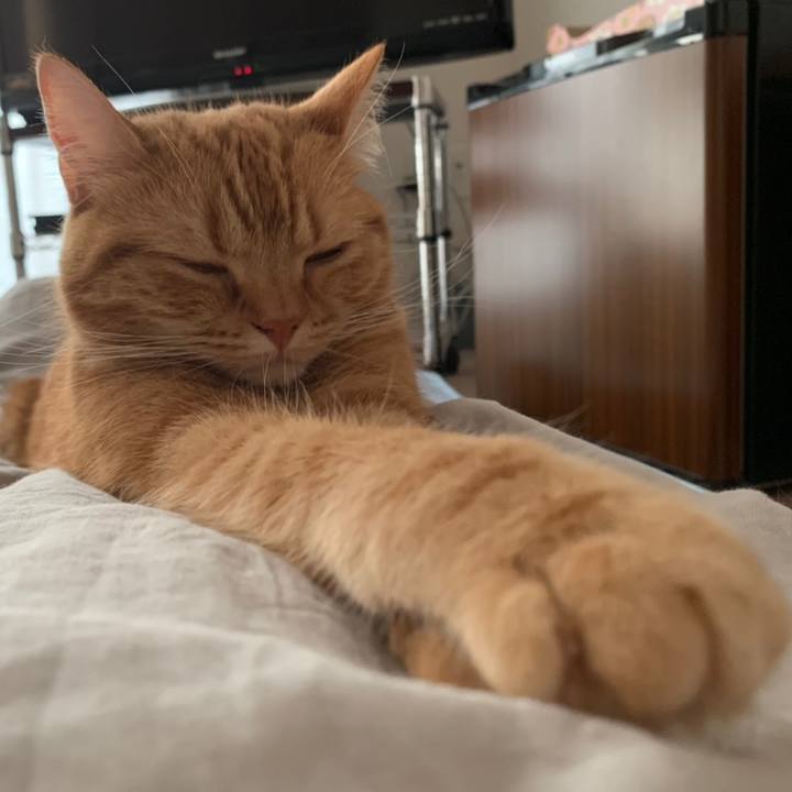 13ad4010 3ce1 41a3 a358 cccf6b1d332b 1558733290159