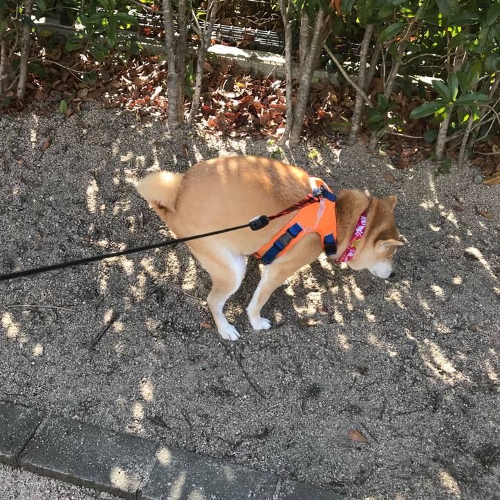 13adff3c f6fe 47c4 9964 541bb74fdc45 1517316673659