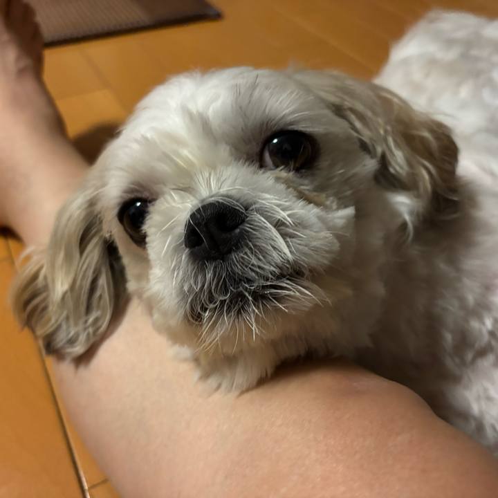 13ae230f dc31 4c0c a676 797e6fad592a 1754430190777