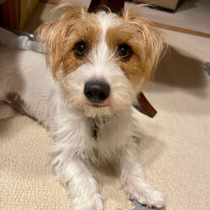 13ae4209 f05a 4fc1 be9c d2402043b911 1760361732231