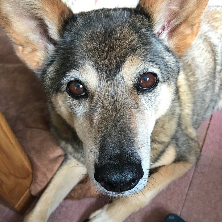 13ae54fd f00b 4b72 ae89 b326cdbfebaa 1535330595314