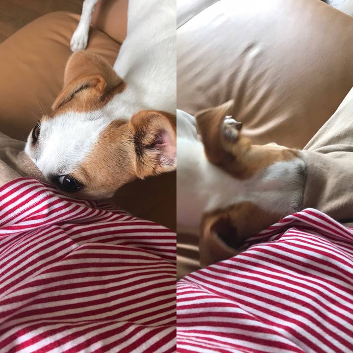 13ae6d07 ccf0 4f08 b4b1 a8d652d3cdd0 1592199822360