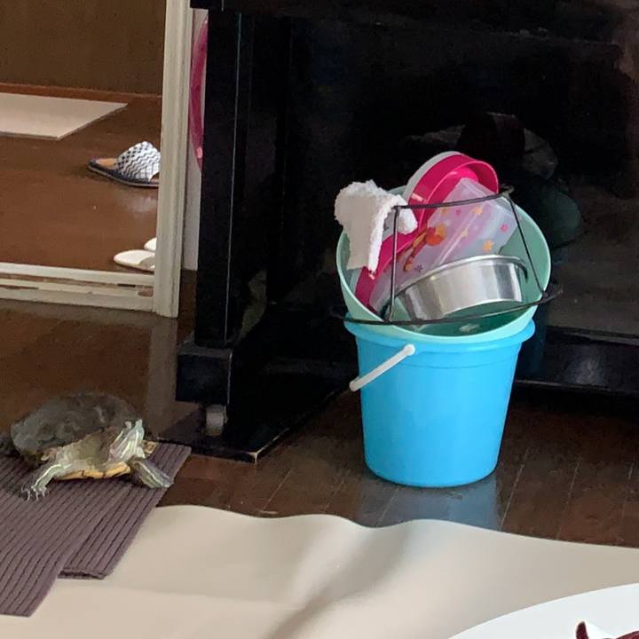 13ae9913 e780 4241 80ad 697617a65a34 1561677435080