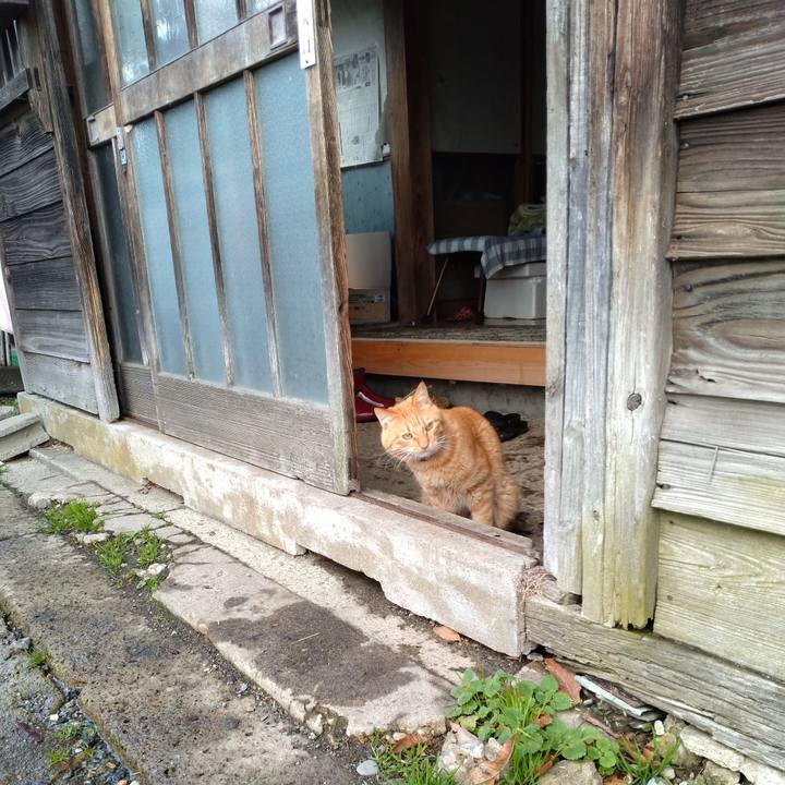 13ae9d94 6140 47d7 8e91 c9996afbc536 1670644256654