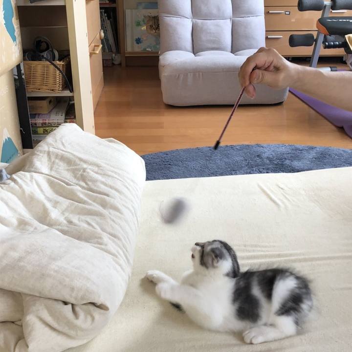 13aeb3d9 a77c 4bcc a084 9ed93ecdb536 1626048368356