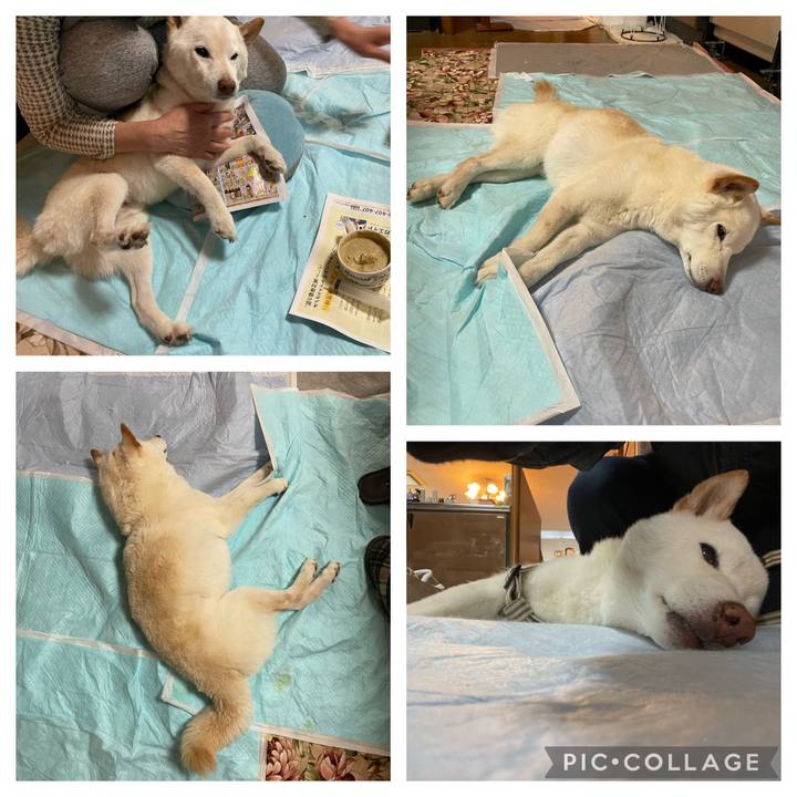 13aeb98b 0bda 4688 b65e efb066a66754 1648625922035