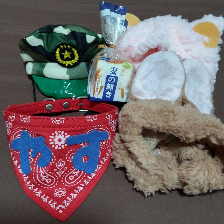 13aec5c7 bf4d 4fcb a2fd 8317ed8b6fbd 1628893976746