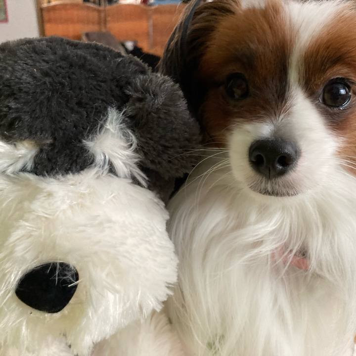 13aef99a 1c92 408e b02c 4cfcc5281014 1641773403234