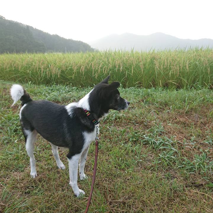 13af0df1 aeec 43fa bbfd 3b142883ffc8 1598151825082