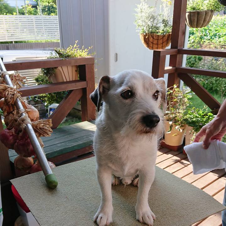 13afa051 5485 4c0d a30c 651e24c83e80 1560470264334