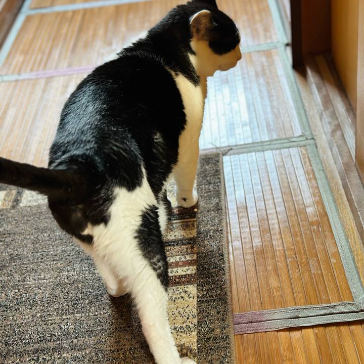 13afeecd 380d 47a7 97c9 2b4a1a221233 1705887997934