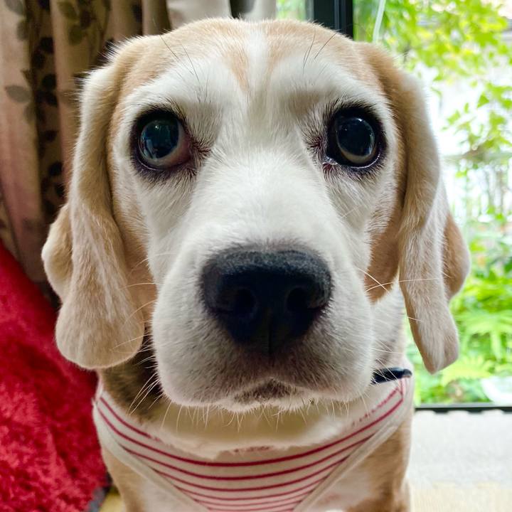 13b017cc cafc 4e4d 9462 41d834af68c4 1624419535122