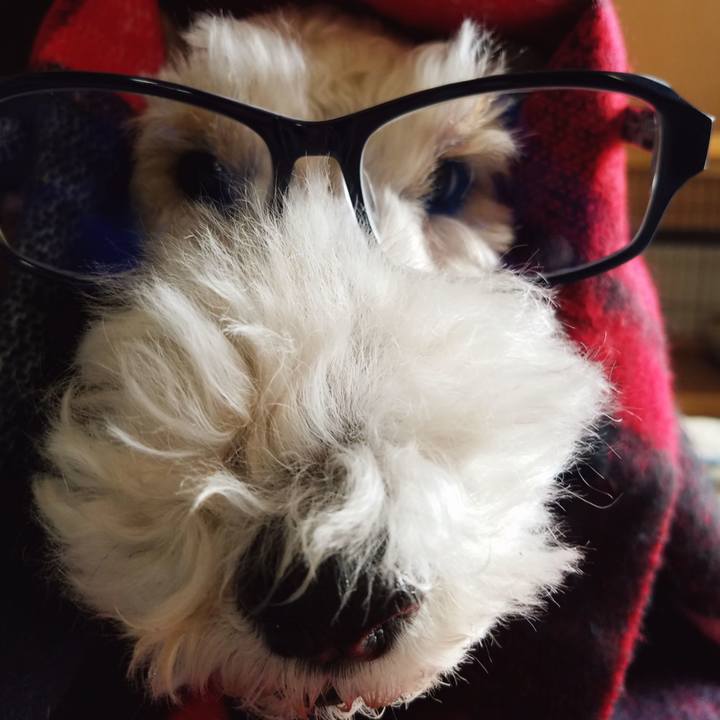 13b0693c ad87 420c aa78 bf60da08d120 1543016926160