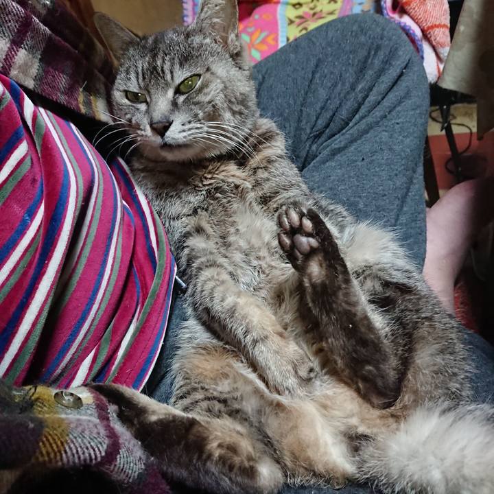 13b07f69 baf1 474c a4dd 2ee7e2944d62 1584961570092