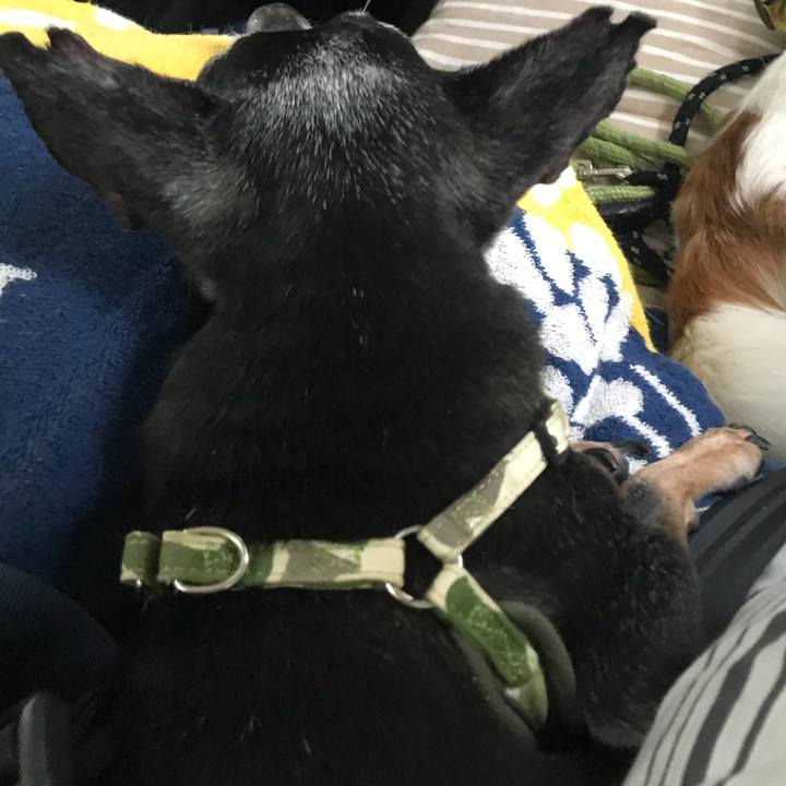 13b08112 6e96 4fe5 8743 13cf263d4bce 1566012726639