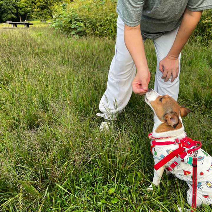 13b08274 f605 4ab5 8cec 3c81c5aabfbb 1759319489035