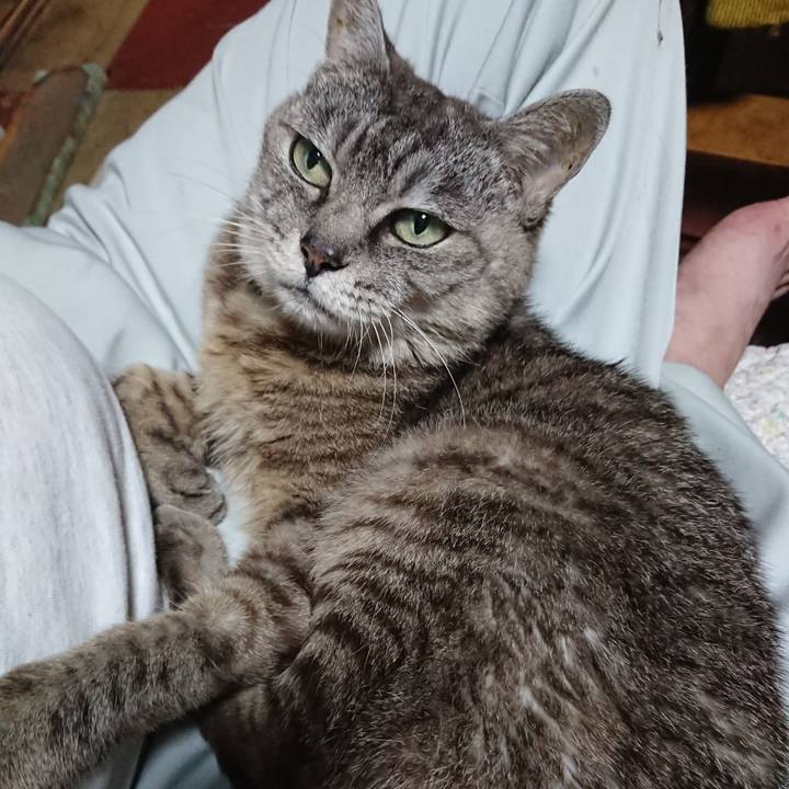 13b0d6a2 7554 42da b0b3 fb3448c45ae7 1567677950857