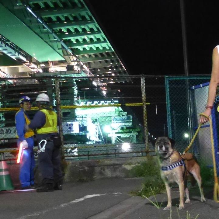 13b0e56d 6bce 4dd2 a99f 91abab2cfad1 1579045227059