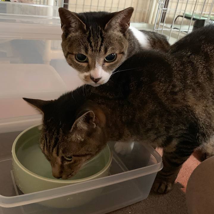 13b1161d fb05 4c0b 9275 79b72c61004d 1557536680214