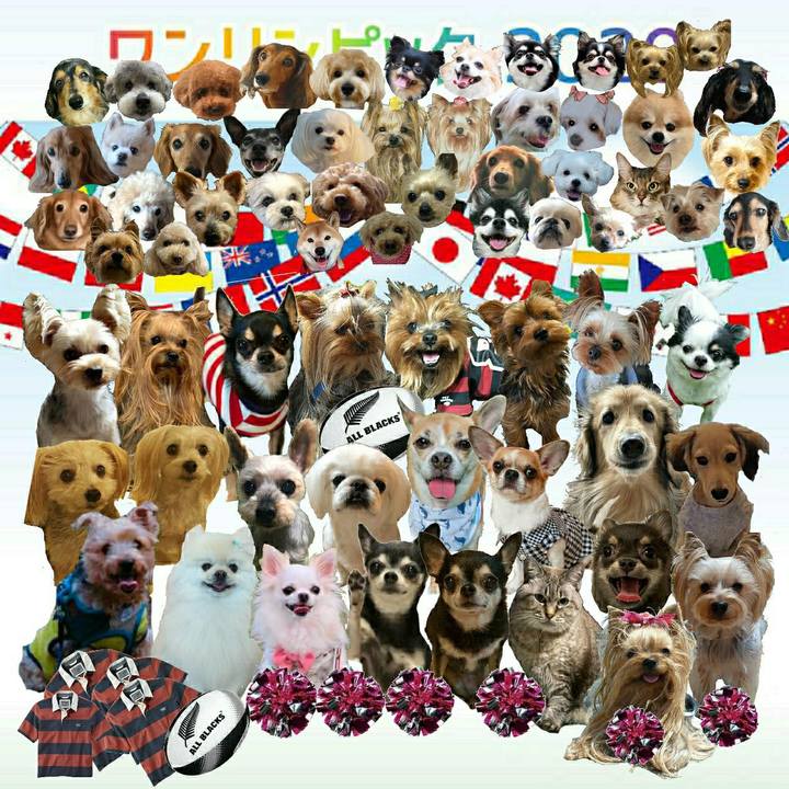 13b13d4f 4599 4971 896d 344c9c72838c 1627377497004