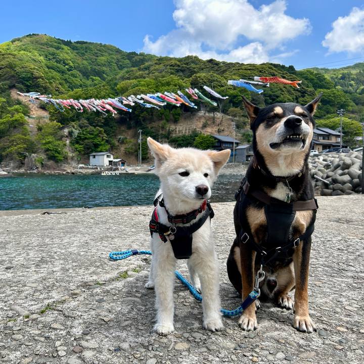 13b142b6 e42c 4bd2 a9d0 429adb1b9e3e 1746530235585