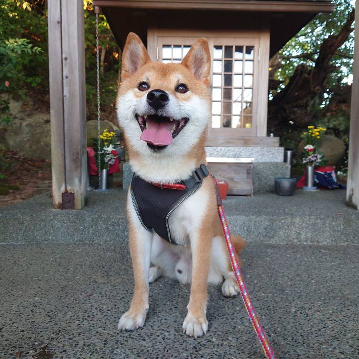 13b1431f 1cf5 4fd2 bb0f 8a36883b60bc 1756762996349