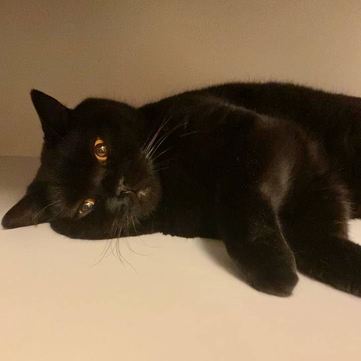 13b156b8 0897 403c 8e25 ce11d79586ac 1627998249278