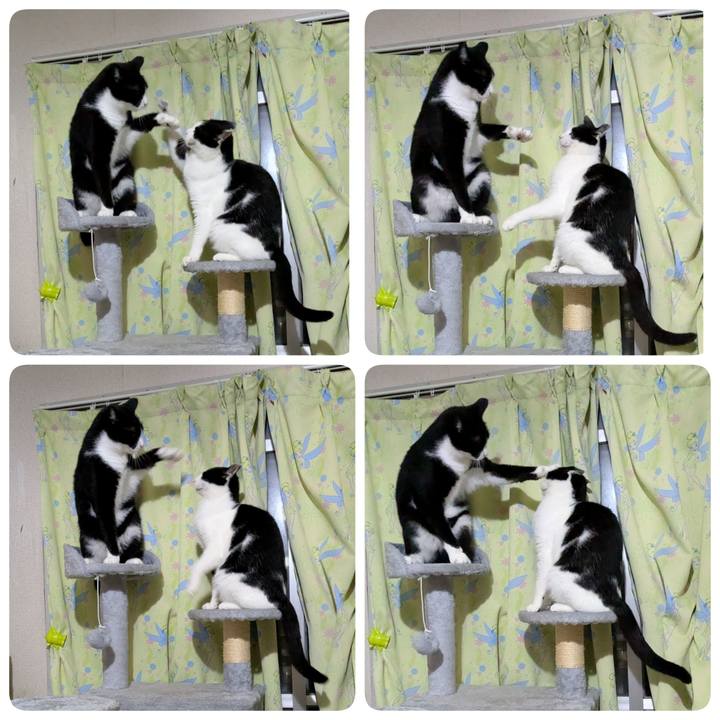 13b16671 d9c0 445e 90ff 94e3fe036eea 1754833902568