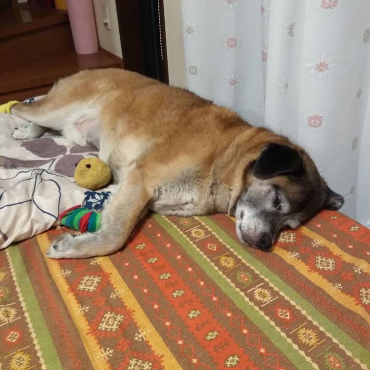 13b17225 b6c1 42f8 8a3c bc078c64bc16 1563458627314