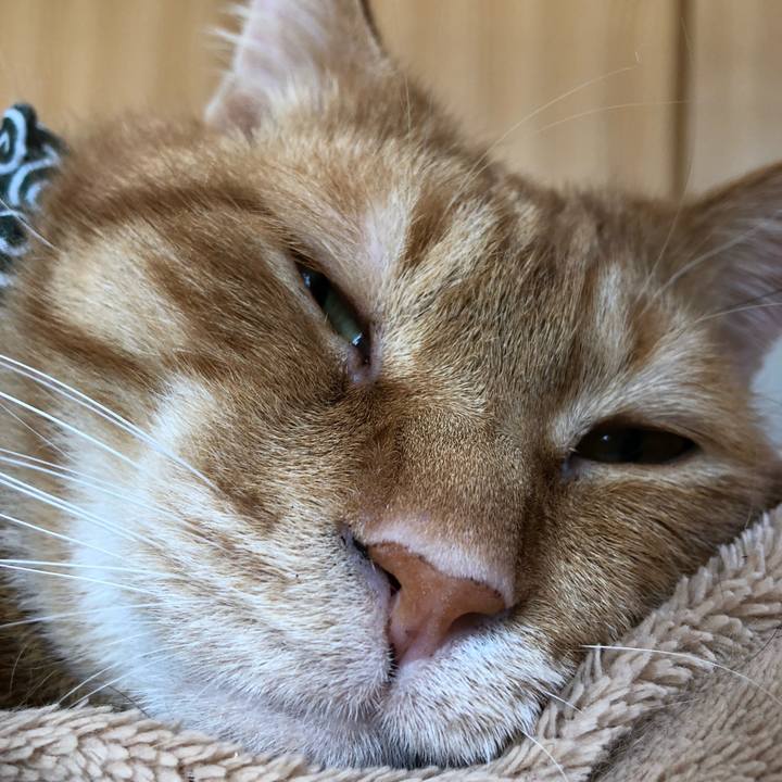 13b1896f 3023 409a a7f8 1db6e4ca87f3 1585964828801