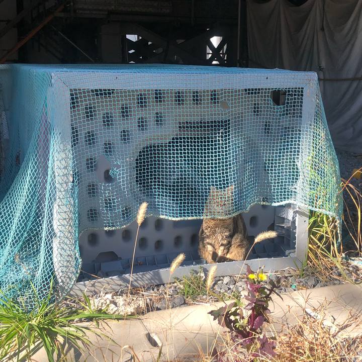 13b1a237 1cd8 42dc b553 f1f59609190b 1644763956035