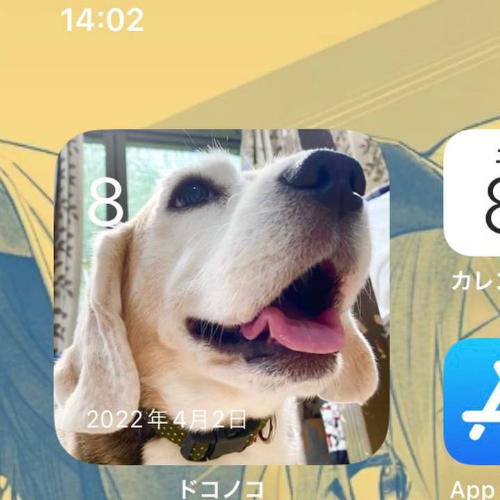 13b1ac0b f994 4534 a7ba b3a438f002d6 1680930305948