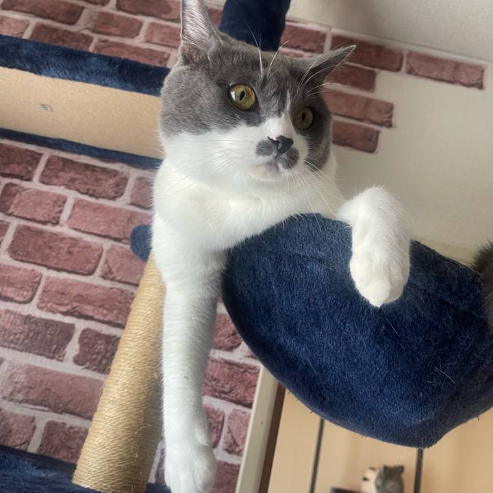 13b1b3ff 1154 43bb 89eb c5de5d2ebbd9 1723335390737