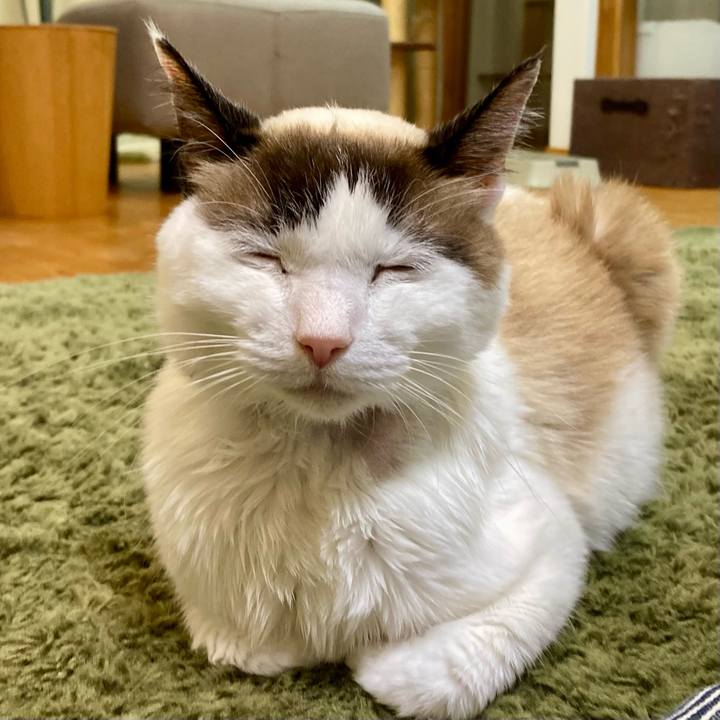 13b1c8e4 8908 434b 9a57 c0fe74543b97 1678970253368