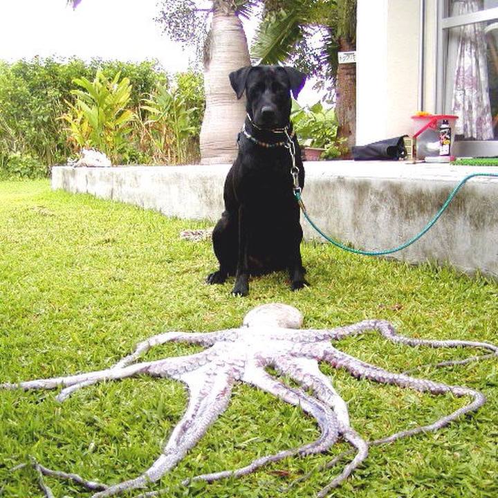 13b1d3c2 d52f 436d b86a 4e220cc5d987 1521459668767