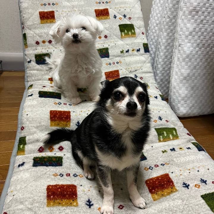 13b20eca 4fca 4095 a640 7ae93873592c 1707014119103