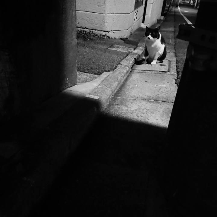 13b24075 deea 4a2d 95ed c8a8f6d722bb 1661697405355