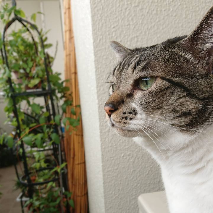 13b2541d 05e0 49f0 9839 5a344fde389a 1532567529251