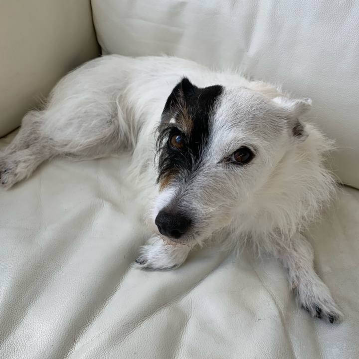 13b27be1 2679 4372 9790 cfabc6921a03 1752106988145