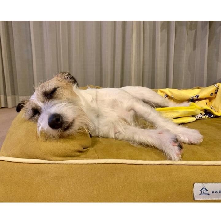 13b2dcad a8d8 4beb a098 8b6f214b9c11 1652531235805