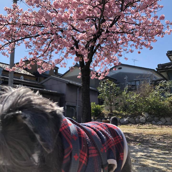 13b305bc 8c99 47aa 85e1 67fb0340fb55 1679404169106