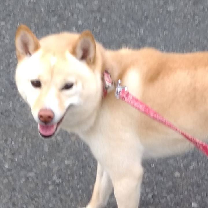 13b31643 e5c7 408a a096 bad725263396 1553497378207