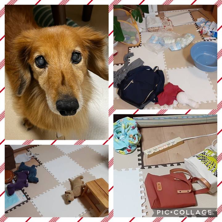 13b32eb4 c20c 42d3 a6a0 a3ed631e8b3d 1669642402583