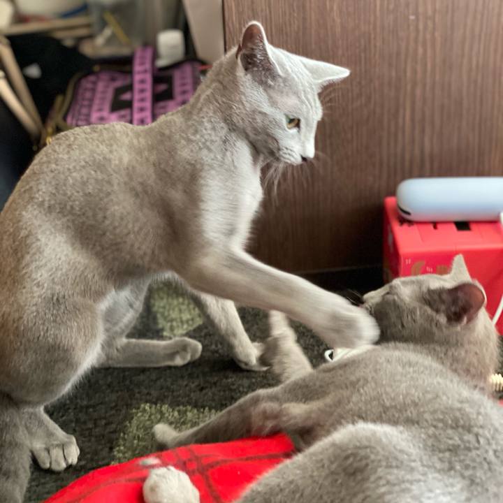 13b32f27 f9db 4a2a 95a4 f472d138199f 1606091822955