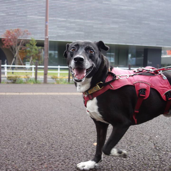 13b338bd c8ae 4f11 8e66 582e2556eb2d 1699231557227