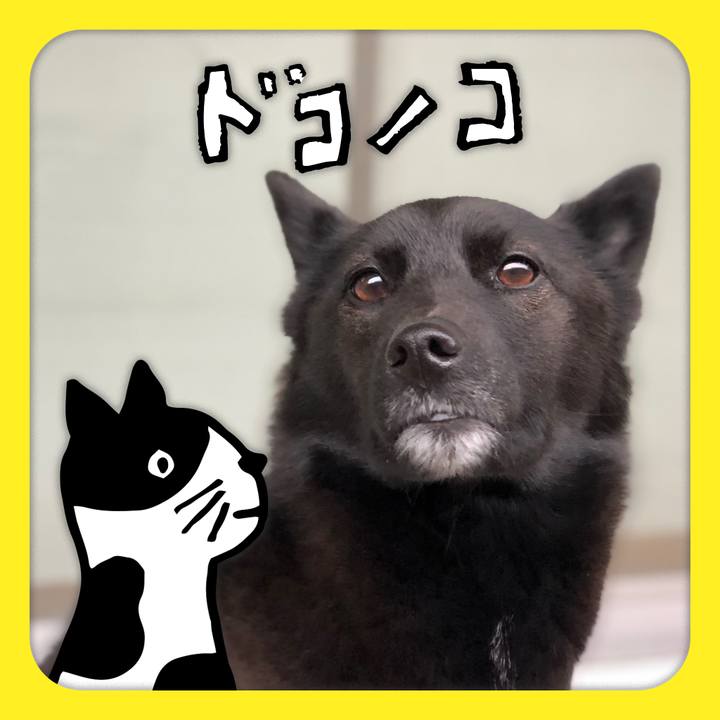 13b34e69 b945 4b8c b794 214ce22dafd1 1622961013160